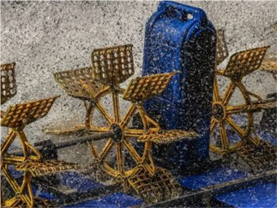 Động lực thu hoạch Hải sản mùa Đông